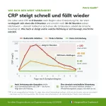 Grafik zum Verlauf der CRP-Werte beim Patris Health CRP-Selbsttest