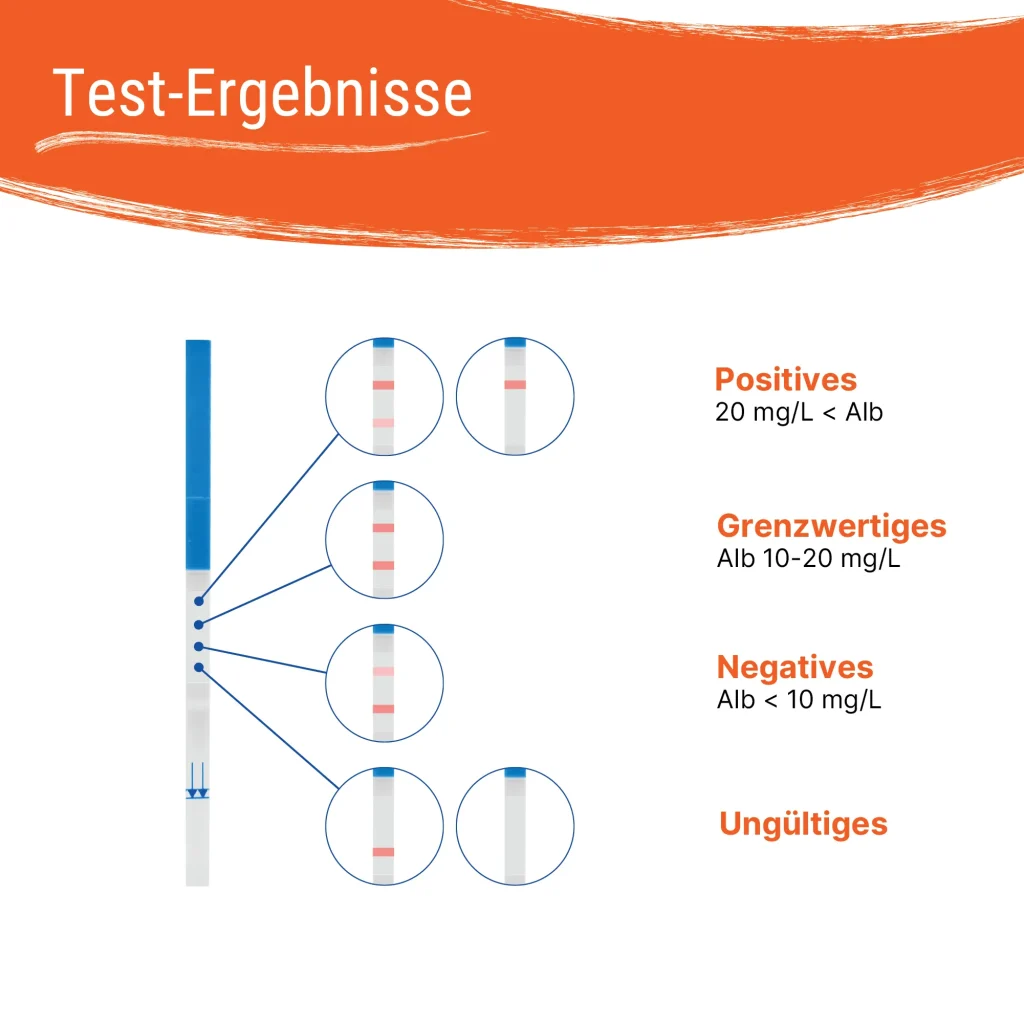 Testergebnisse des Nierenfunktions-Selbsttests – positiv, grenzwertig, negativ, ungültig