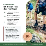 Borreliose-Test zwei bis sechs Wochen nach einem vermuteten Zeckenstich anwenden