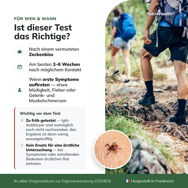 Borreliose-Test zwei bis sechs Wochen nach einem vermuteten Zeckenstich anwenden